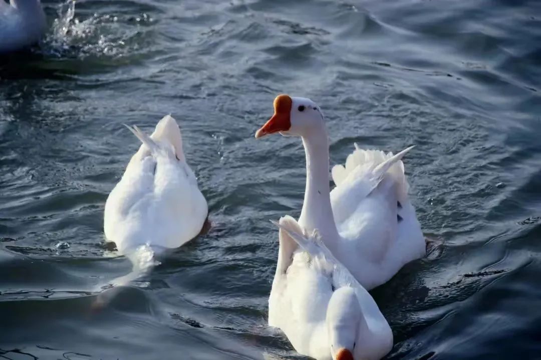 这是华水，欢迎来到你的主场！