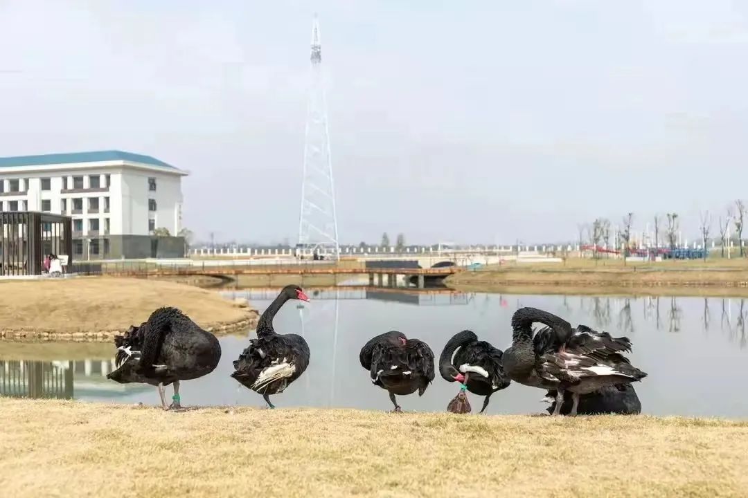 这是华水，欢迎来到你的主场！