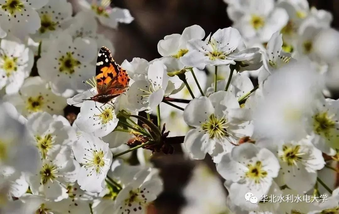 这是华水，欢迎来到你的主场！