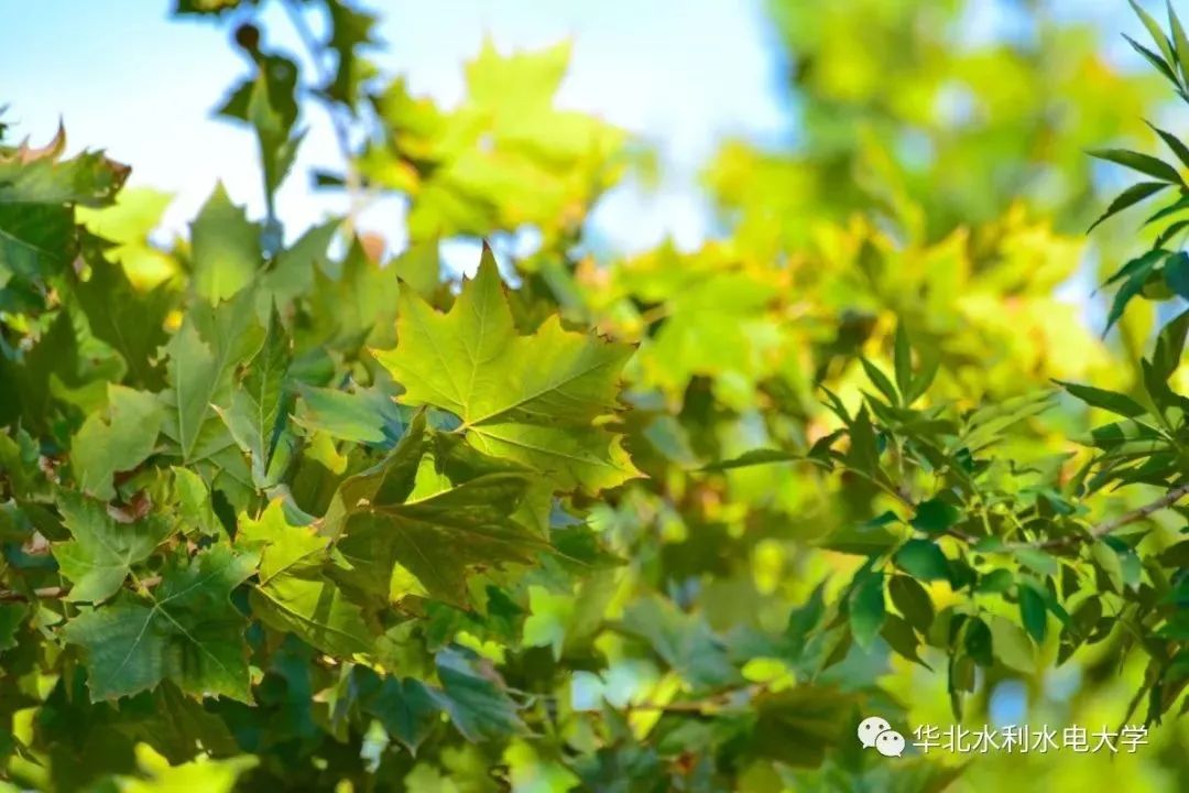 这是华水，欢迎来到你的主场！