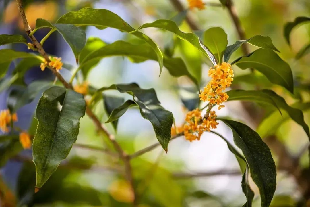 这是华水，欢迎来到你的主场！