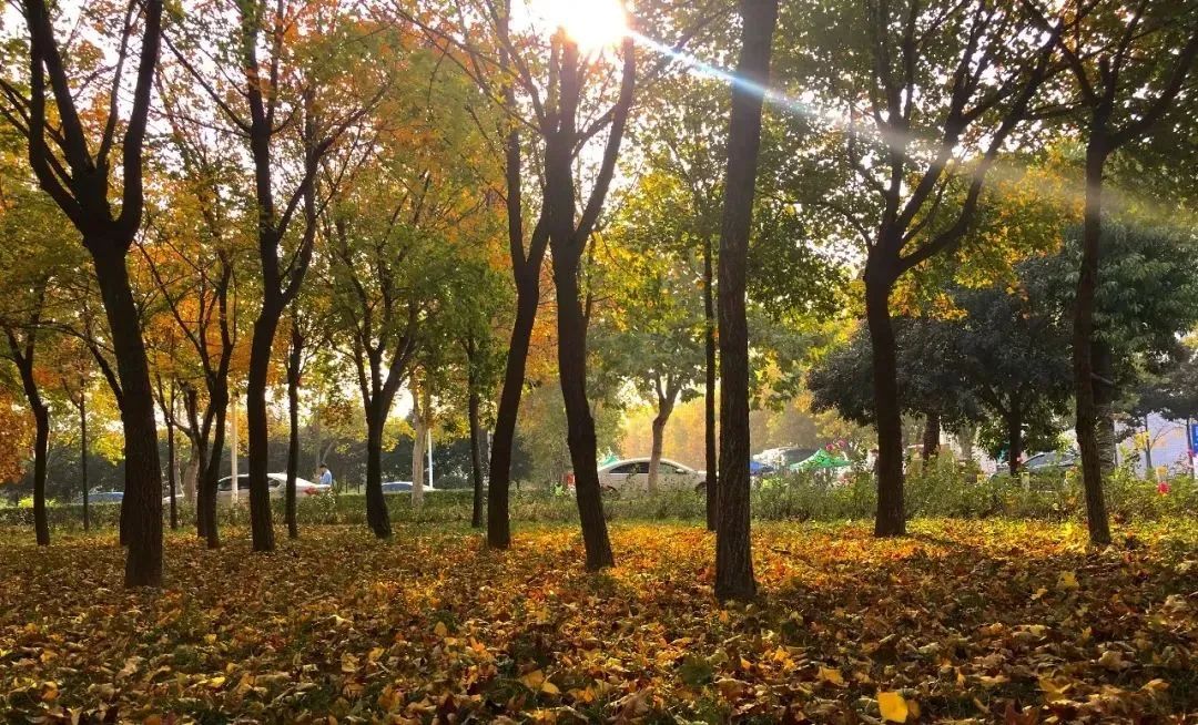 这是华水，欢迎来到你的主场！