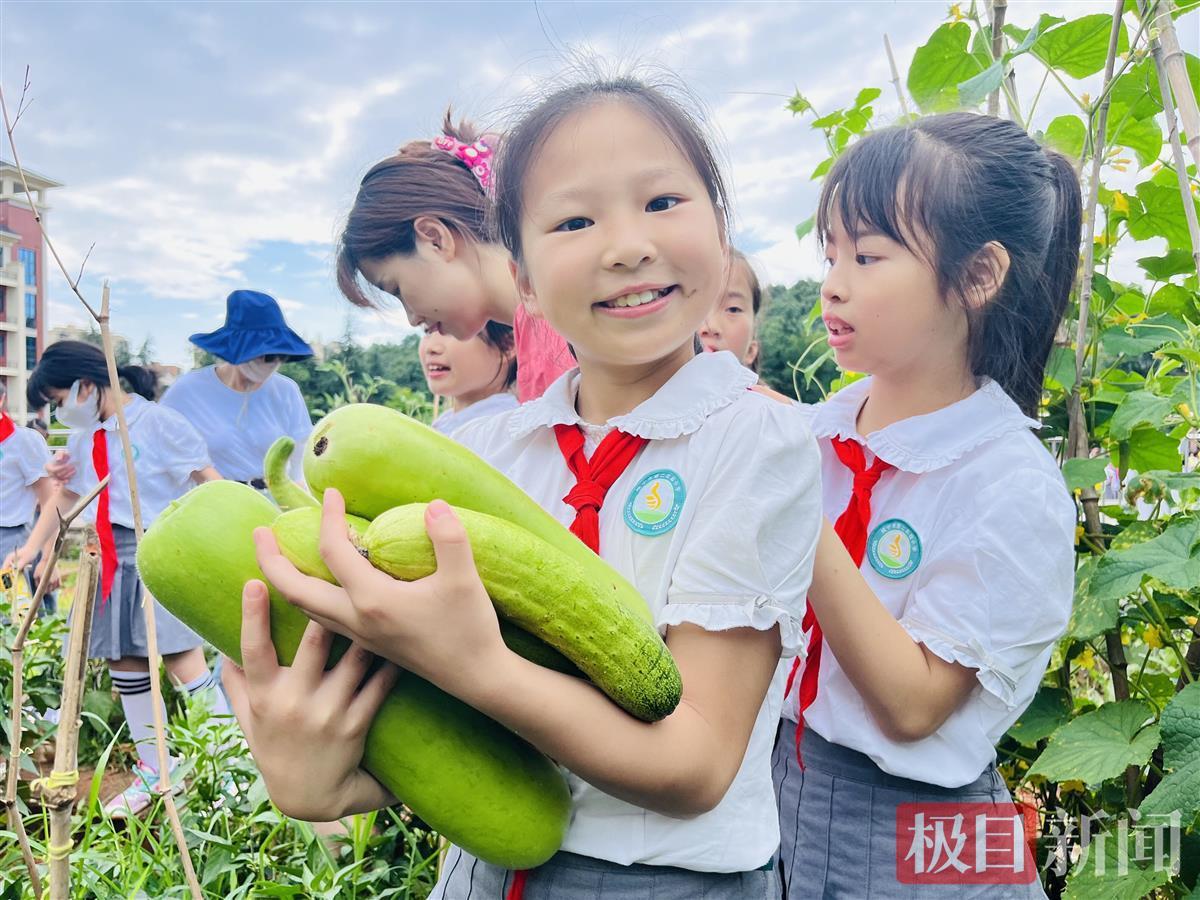 咸宁市第二实验小学举办丰收节 学生成为田间主角(图1)