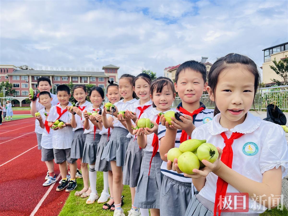 咸宁市第二实验小学举办丰收节 学生成为田间主角(图2)