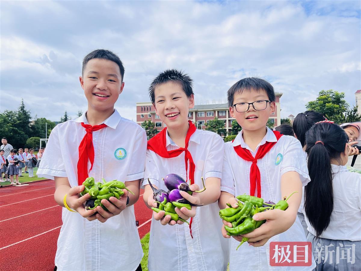 咸宁市第二实验小学举办丰收节 学生成为田间主角(图3)