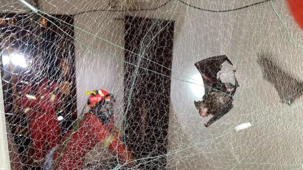 ˣƹһݱ160ֻռ……