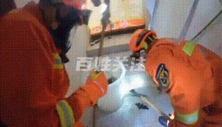 ���ˣ��ƹ�������һ���ݱ�160ֻ����ռ&hellip;&hellip;