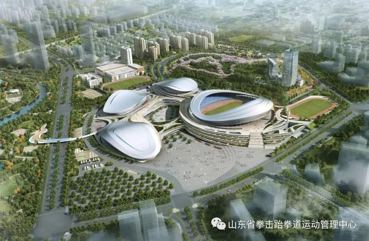 申请奥运会的要求有哪些(山东省泰安市成功申办巴黎2024年奥运会和残奥会跆拳道亚洲区资格赛)