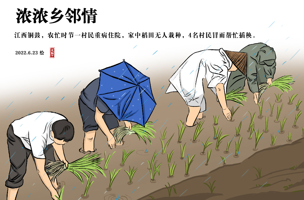 「挑战365天正能量速写画」第205期：村民集体冒雨帮重病邻居插秧