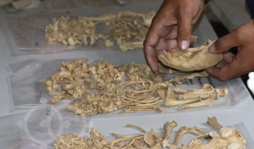 ɹŹΪֹ侳ʱʱʼҹĹ