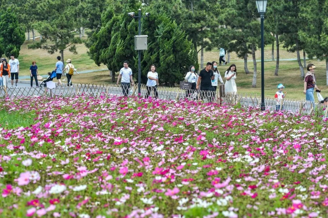 不只11家！《青岛50+免费游玩景点大全》，收好够玩一整年！