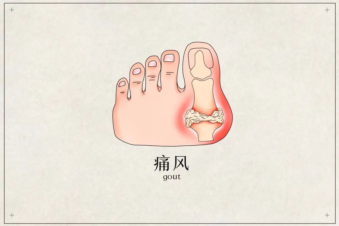 ҽʦʹ羭