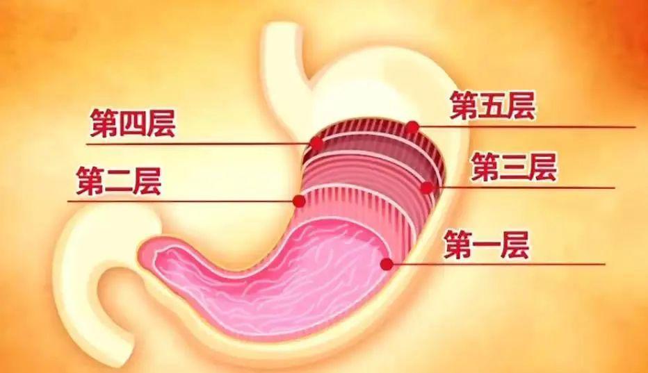 常喝冰水会伤胃？喝热的就没事了？这几件事不注意，肠胃病照样找上门…
