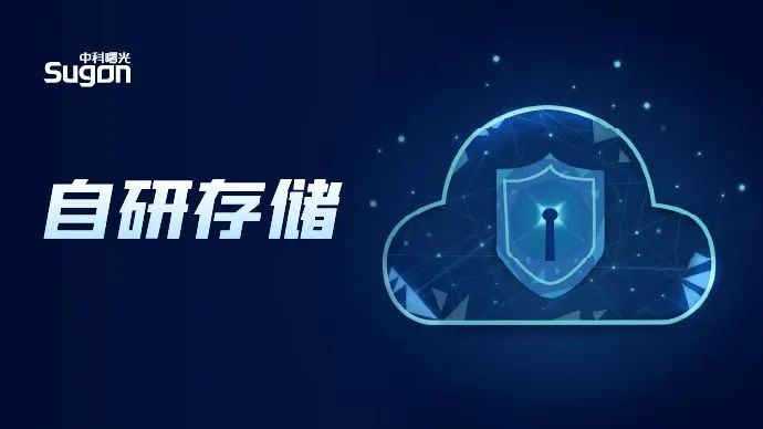 为什么大型项目更倾向自研存储？