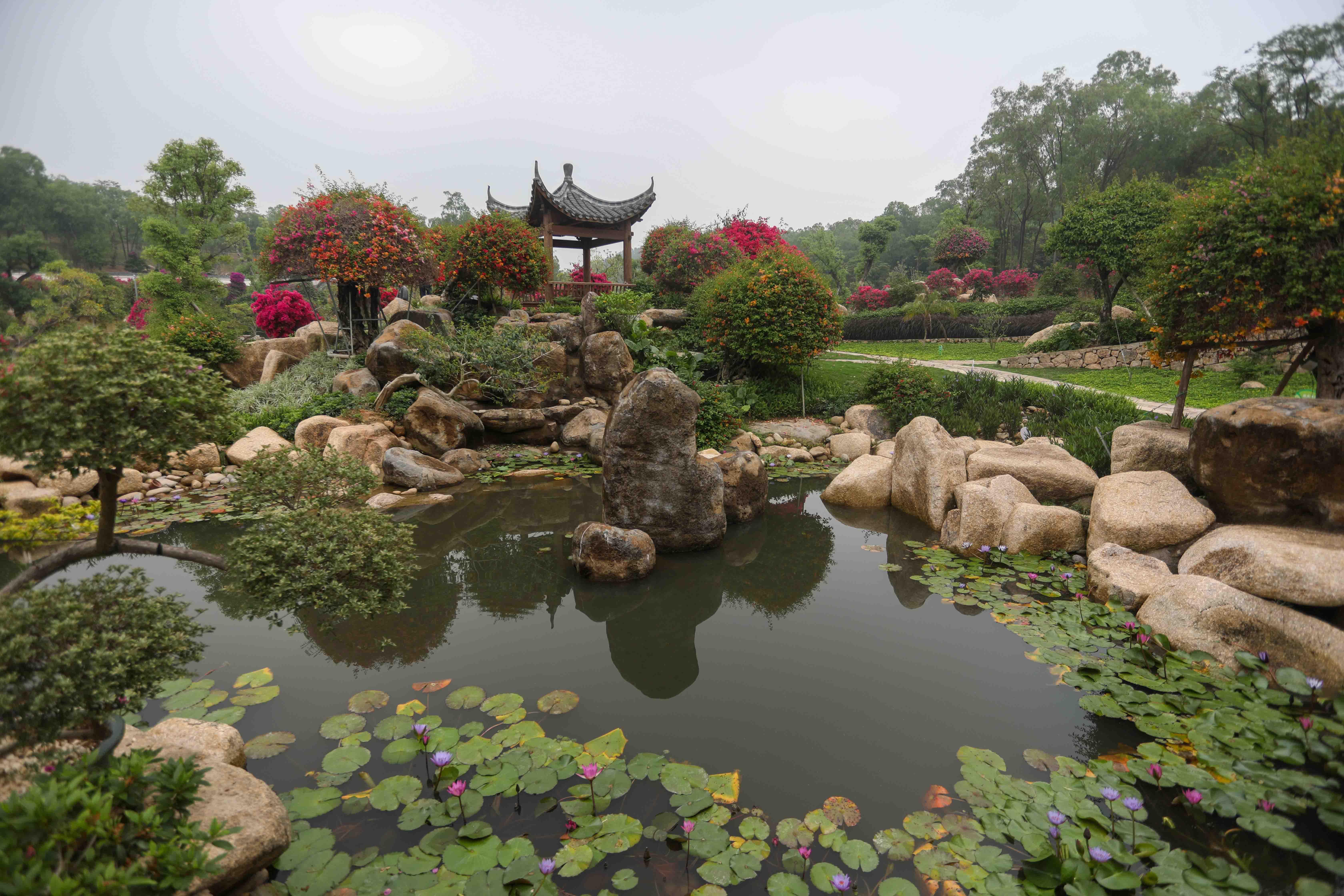 图集｜打卡广州乡村“宝藏景点”