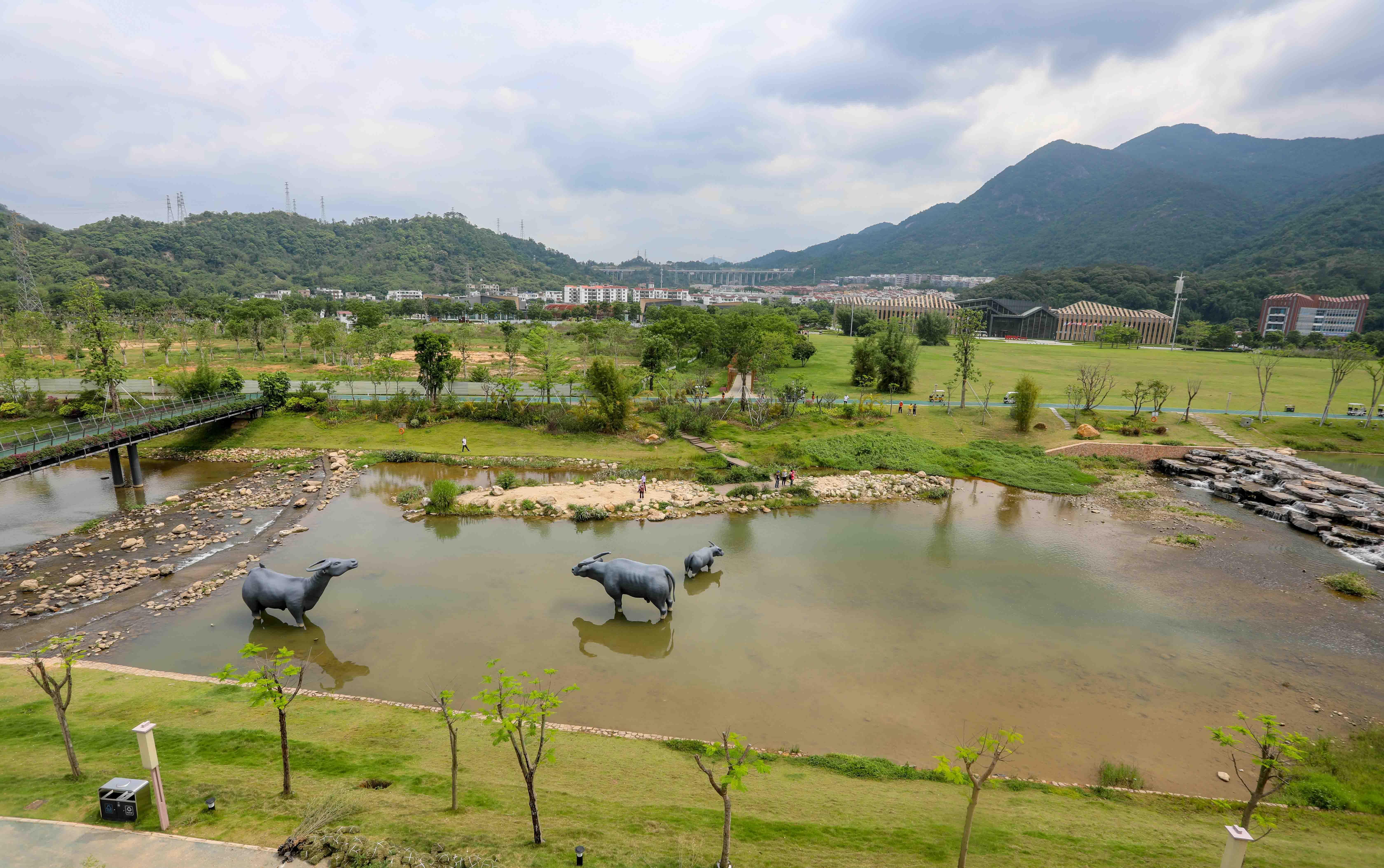 图集｜打卡广州乡村“宝藏景点”