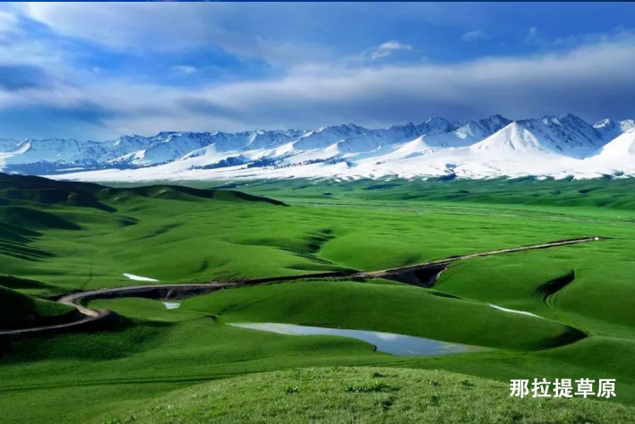 如果有机会 一定要来新疆避避暑