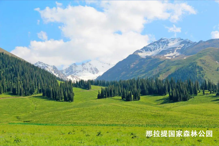 如果有机会 一定要来新疆避避暑