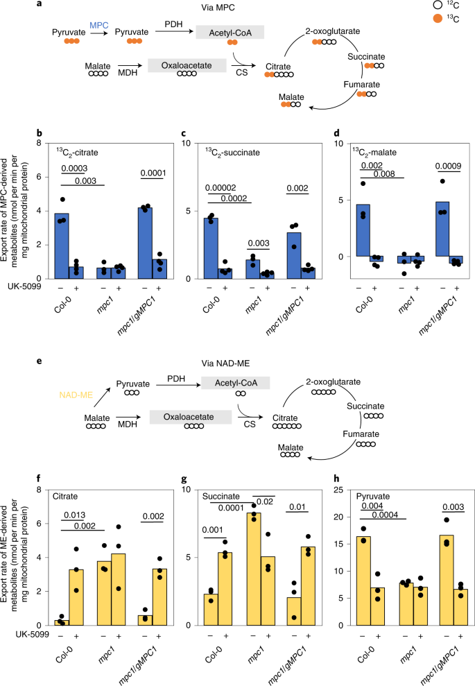 具有“深远意义”的发现：植物正在对我们的未来“做出秘密的碳决定”