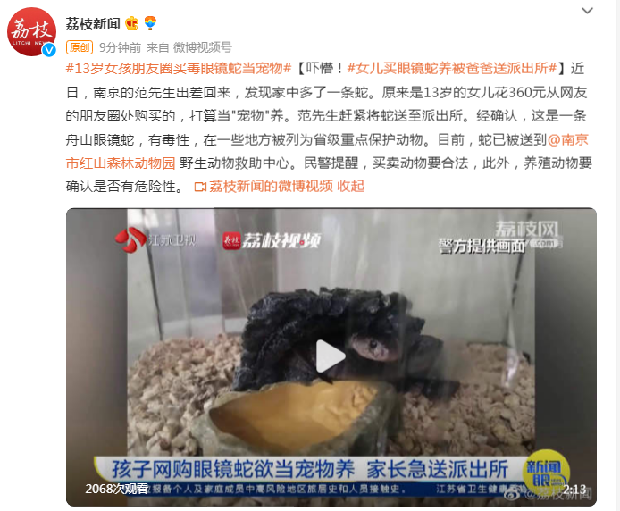 吓懵！13岁女儿买眼镜蛇当宠物，被爸爸送派出所