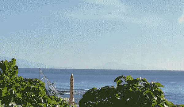 ̨öؾ߻2Ӻ亣зˣ99.9%ĳɹ