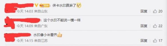 真我GT2大师探索版样张引热议 网友：水印抄袭小米？