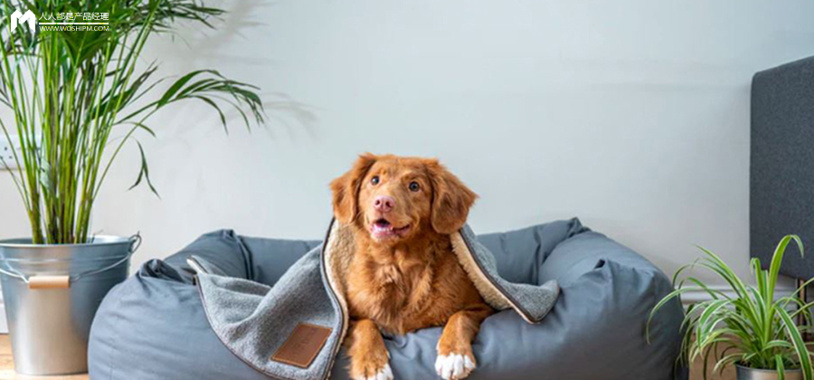 奢侈品巨头盯上宠物消费，会成为一股新潮吗？