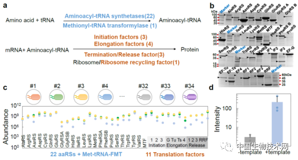 Nature子刊：戴卓君课题组通过工程化空间隔离实现多物种菌群的构建