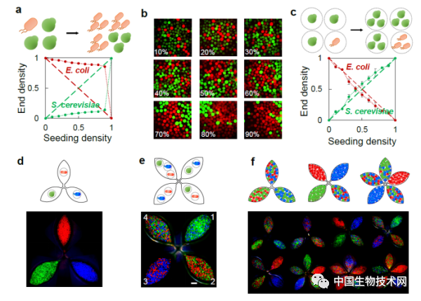 Nature子刊：戴卓君课题组通过工程化空间隔离实现多物种菌群的构建
