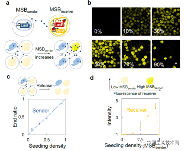 Nature子刊：戴卓君课题组通过工程化空间隔离实现多物种菌群的构建