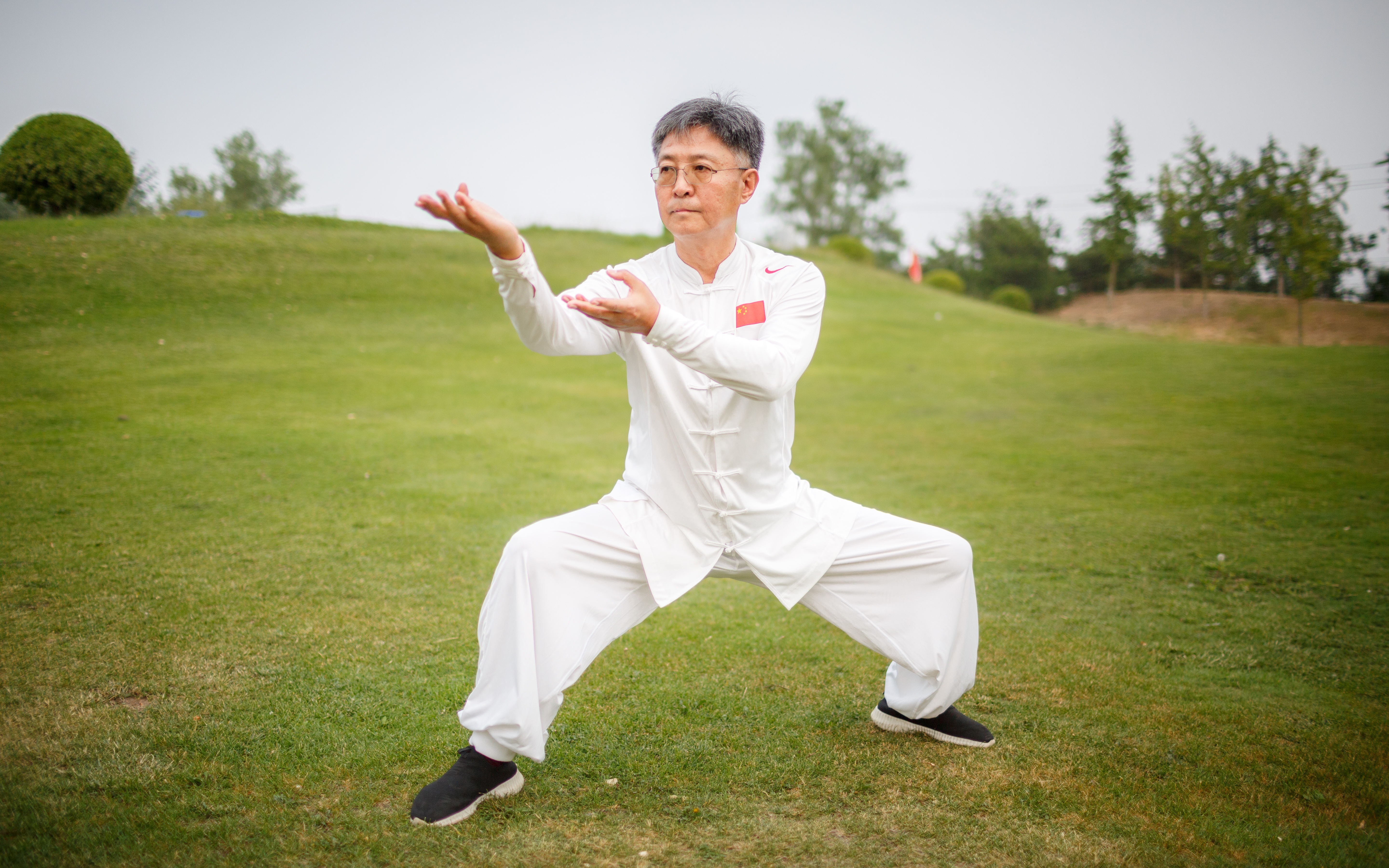 北京奥运会运动有哪些项目(北京市武协会长杜德平：太极拳进京有四个阶段，要讲清楚它的历史)