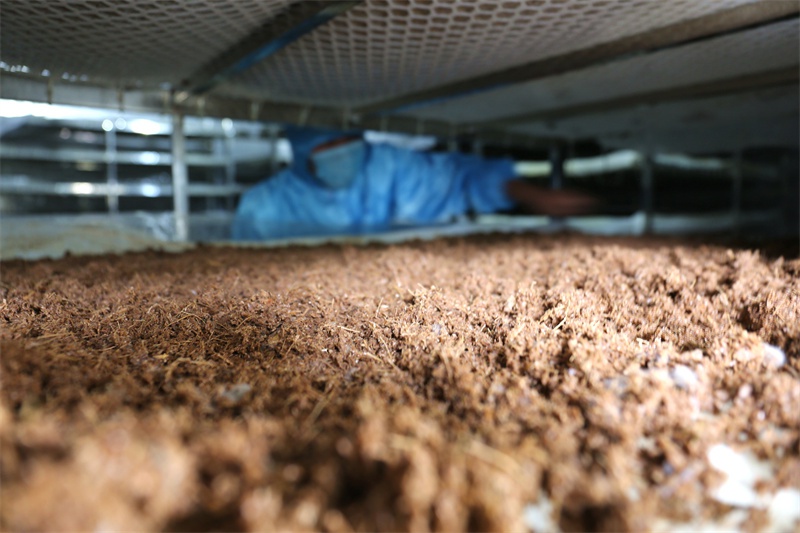 新知｜酶，填补化学与生命科学鸿沟的关键