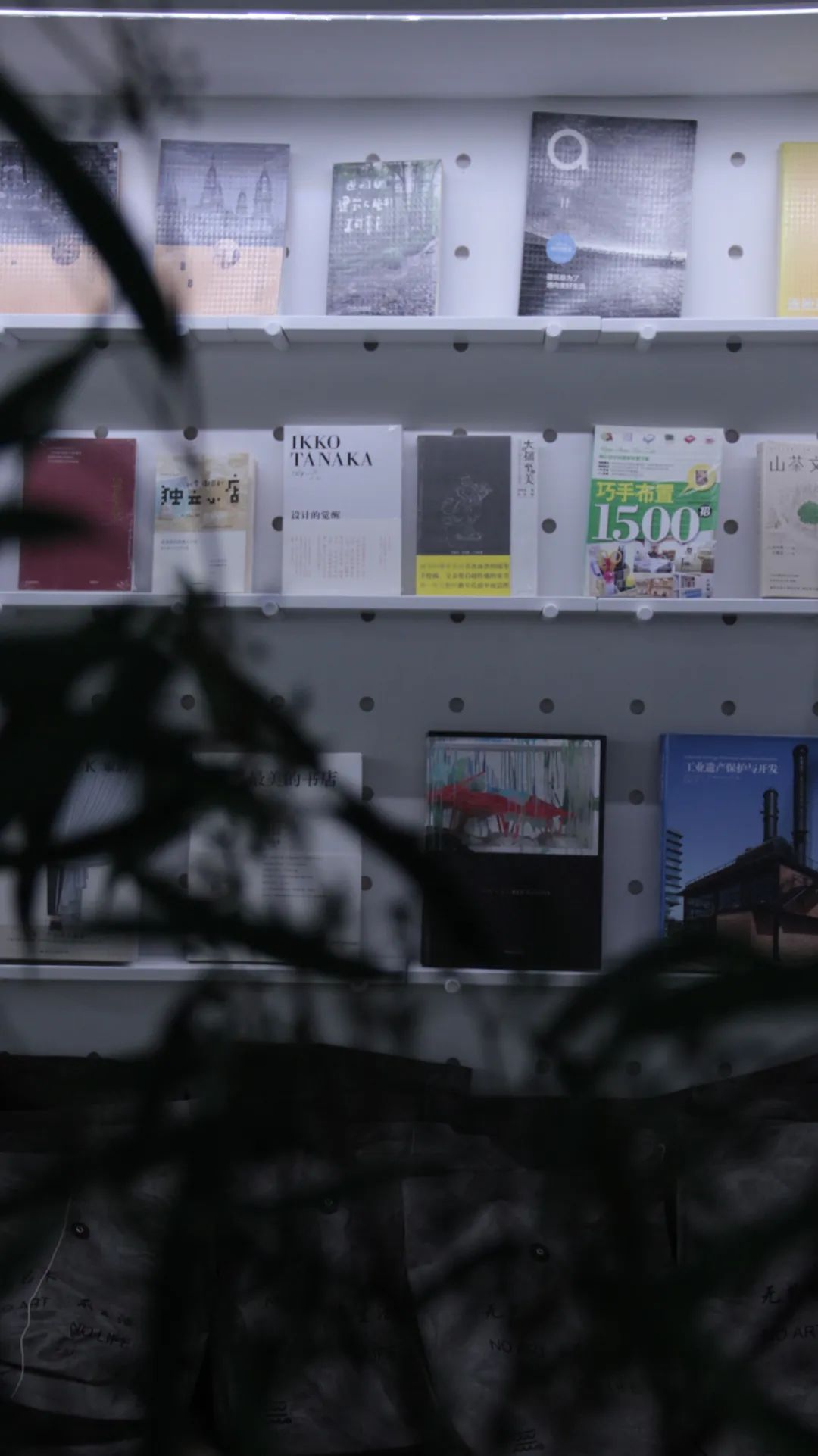 武汉江边一家就算洪水来了也能看展的艺术书店