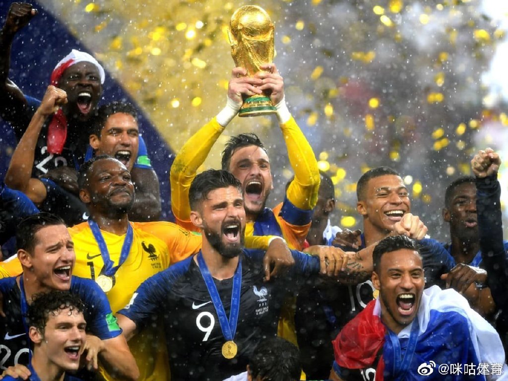 2018世界杯足球冠军是谁(法国问鼎世界杯四周年)