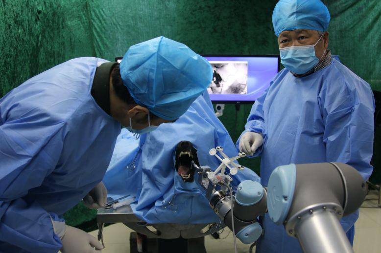 十年磨一剑！全球首款主动式口腔种植机器人系统的诞生