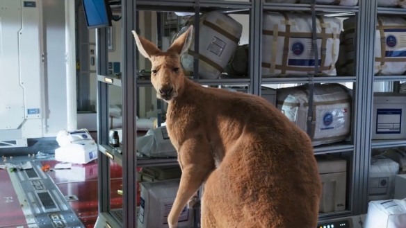 沈腾 马丽科幻喜剧《独行月球》定档预告！7.29上映