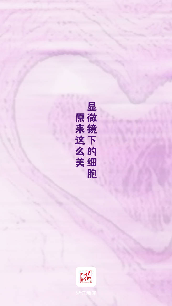 惊艳！显微镜下的人体细胞原来这么美