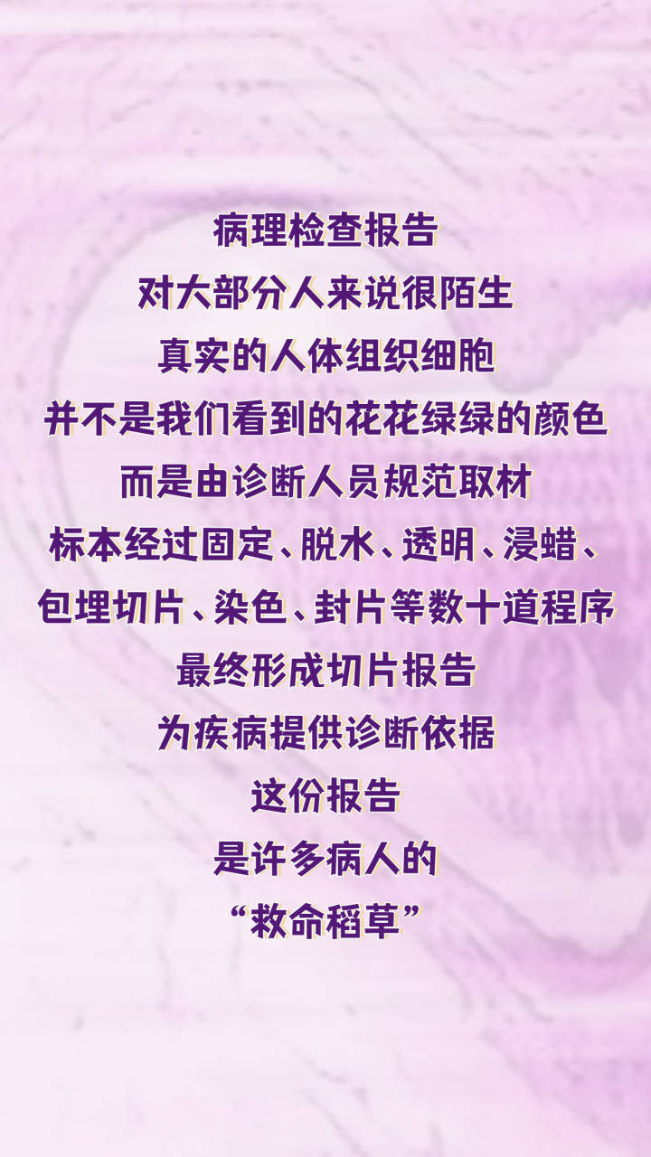 惊艳！显微镜下的人体细胞原来这么美