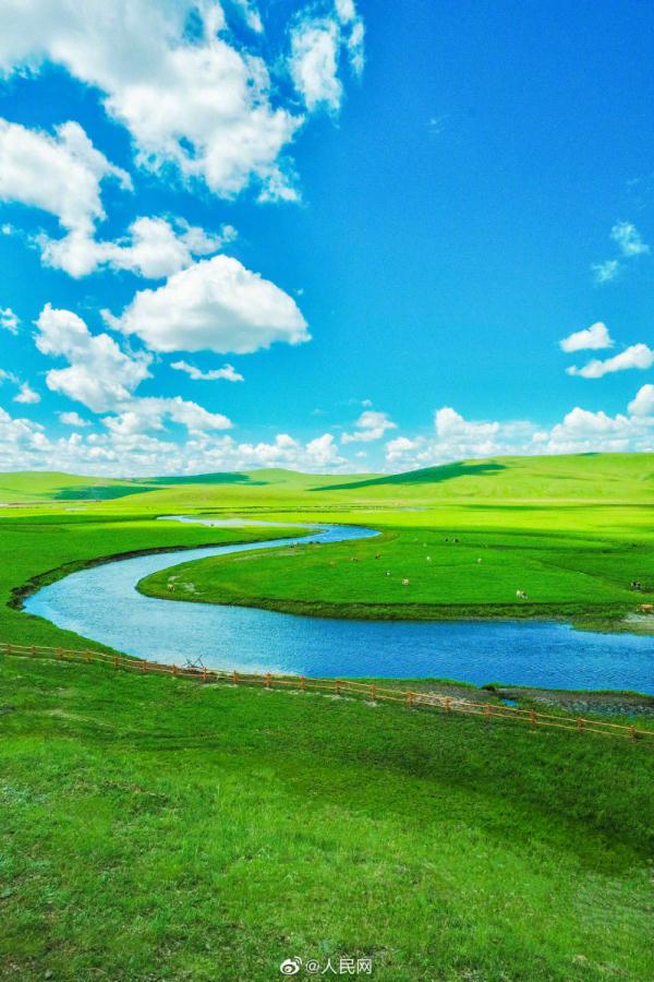 满眼青翠,景色如画,这份夏日草原壁纸请收下