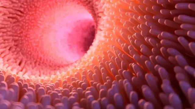 科技爱好者周刊（第215期）：互联网最喜欢的行为模式