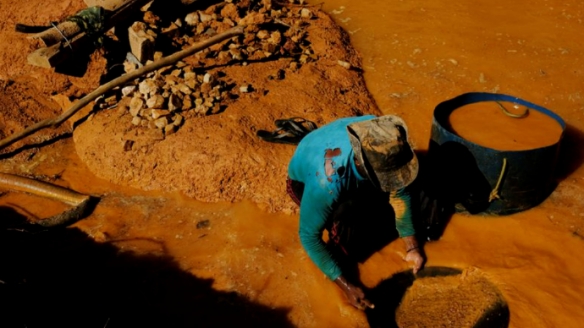 苹果、谷歌、微软等科技巨头被曝卷入非法开采黄金案