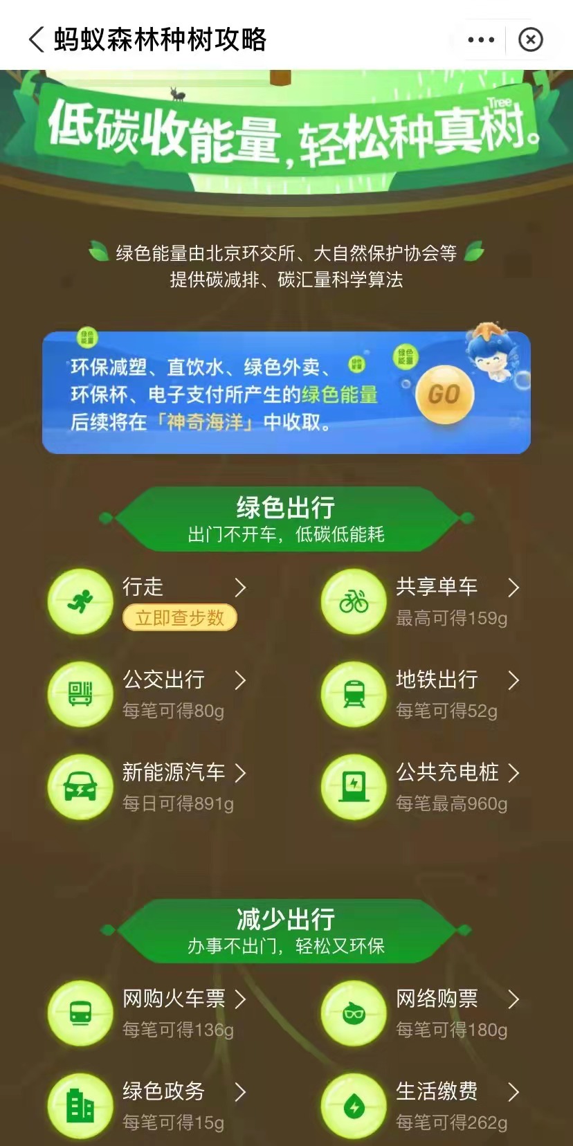​碳账户如何助力实现双碳目标？蚂蚁森林的“解题思路”
