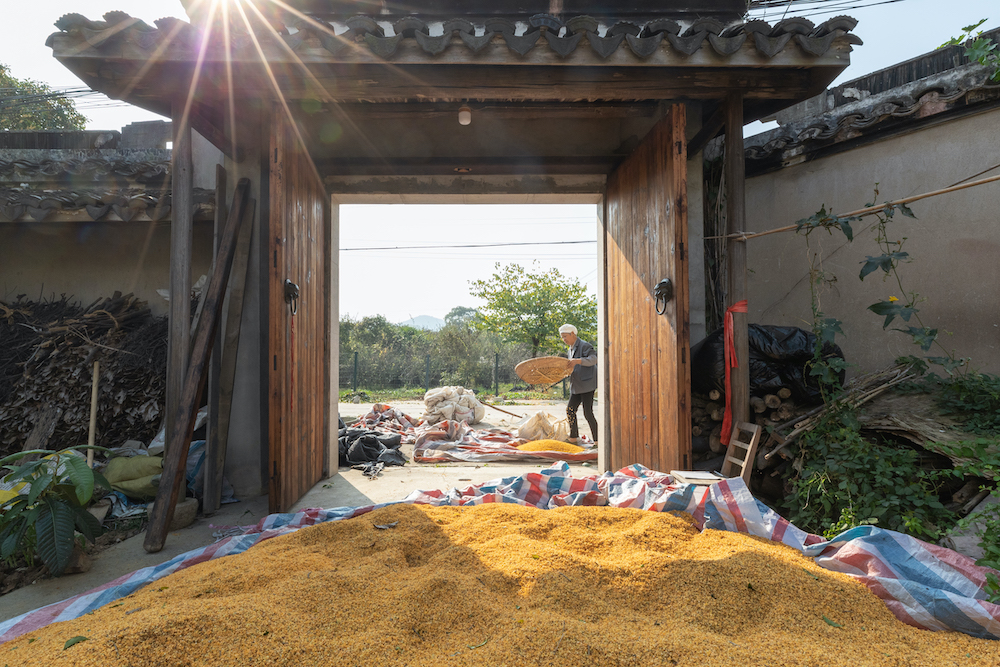 奥运会开始多久了（二十四节气）