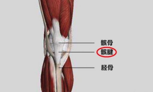 阿扎尔小腿伤情并不严重（复出一周又伤了皇马官方：阿扎尔左膝髌腱炎，缺席本轮西甲）