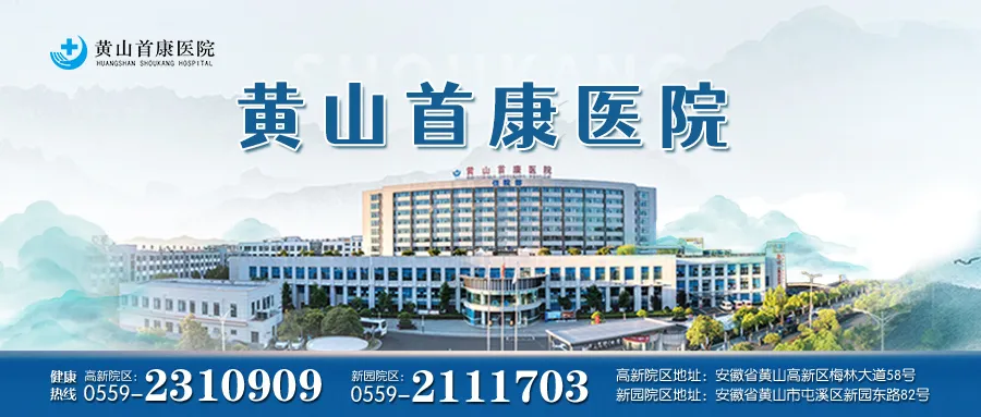 能当向导、陪游、运输的“狗”来了!又一款“黑科技”在黄山风景区公开测试