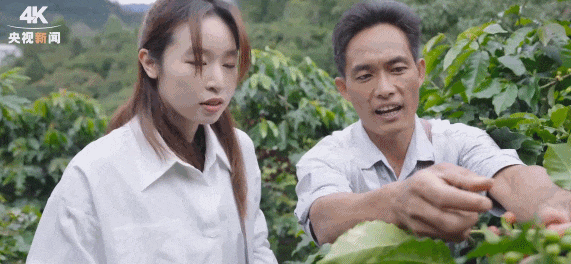 暴涨超300%！云南这一物飙升↗