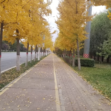 BWanger软件开发达人