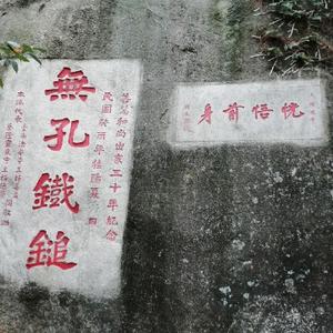 热情火鱼