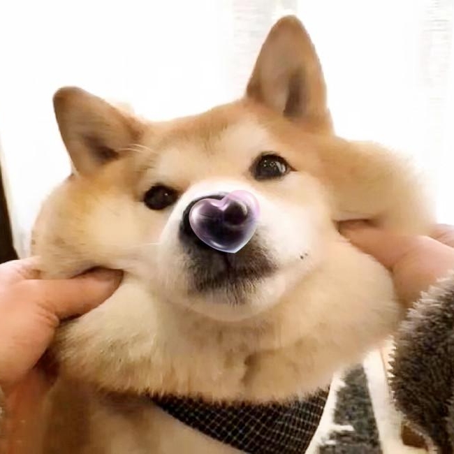 小美大片儿