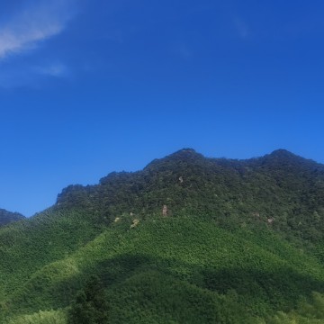 秋天的景色景色